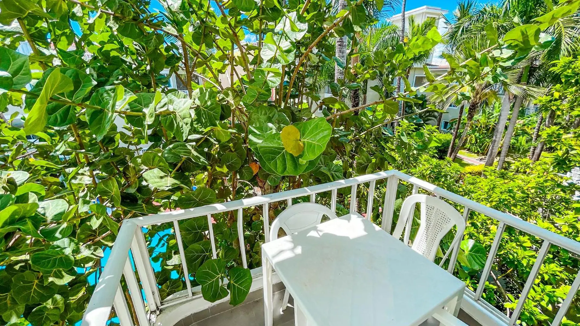 SUN&SAND Caribbean FUN&LOVE Del Mar STUDIOS BEACH CLUB & SPA 蓬塔卡纳 5*,  多米尼加共和国